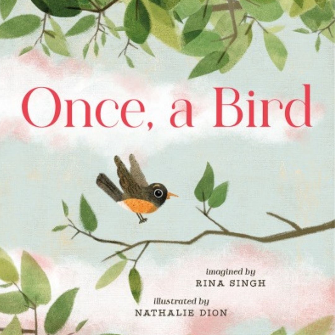 Wordless Picture Books